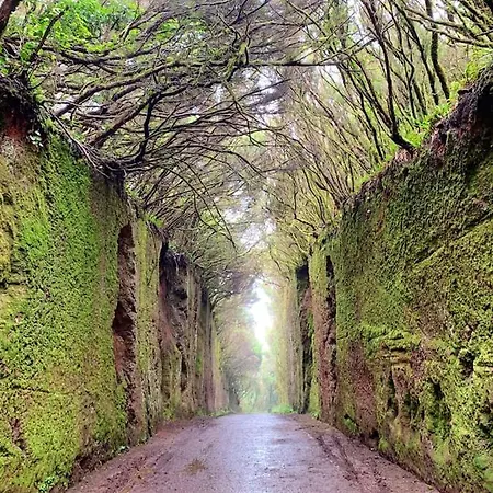 Holiday Camino Vereda Chica Dom wakacyjny *